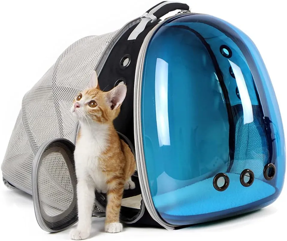 Cat Bubble Backpack with Fan