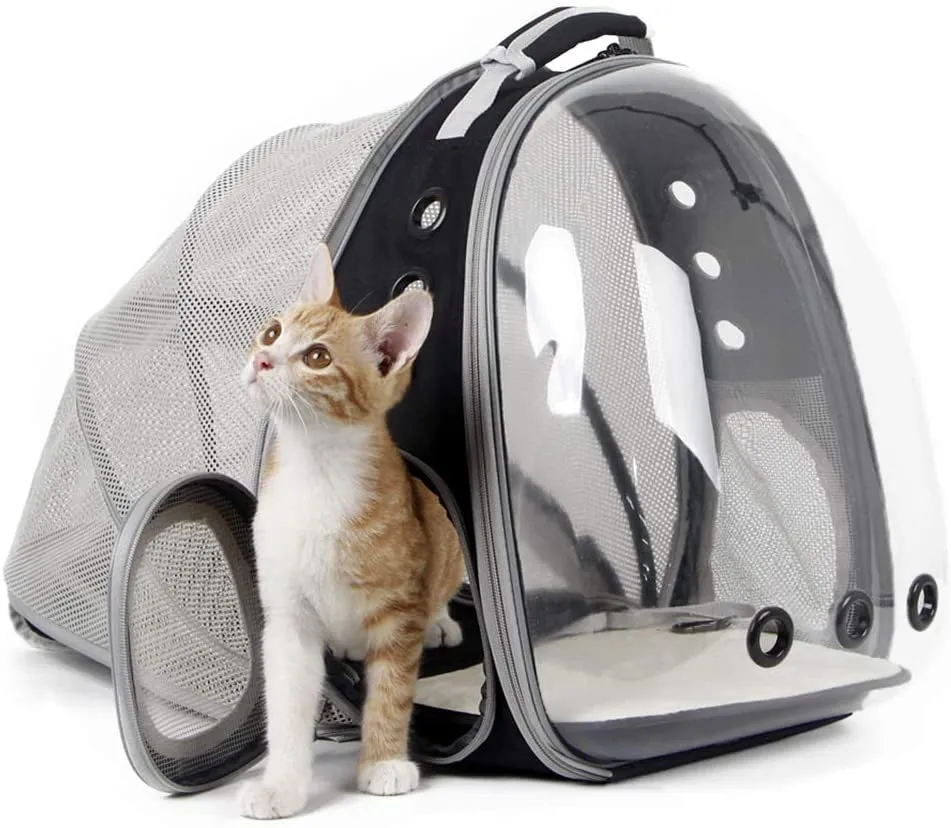 Cat Bubble Backpack with Fan