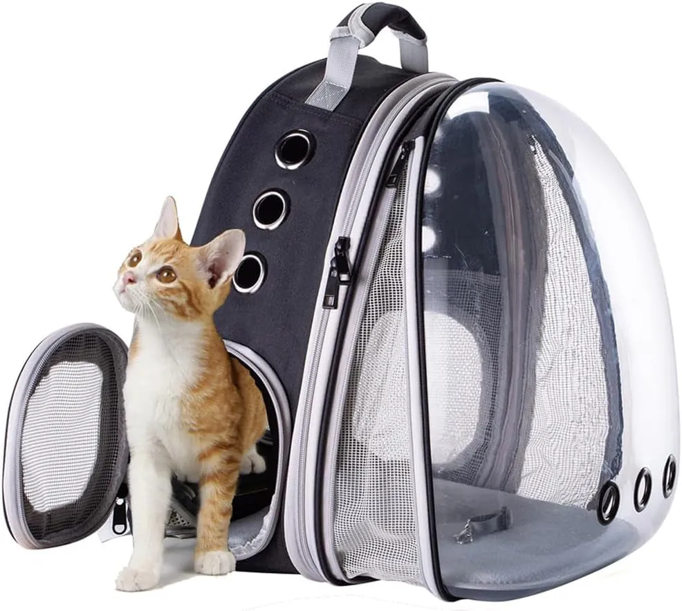 Cat Bubble Backpack with Fan