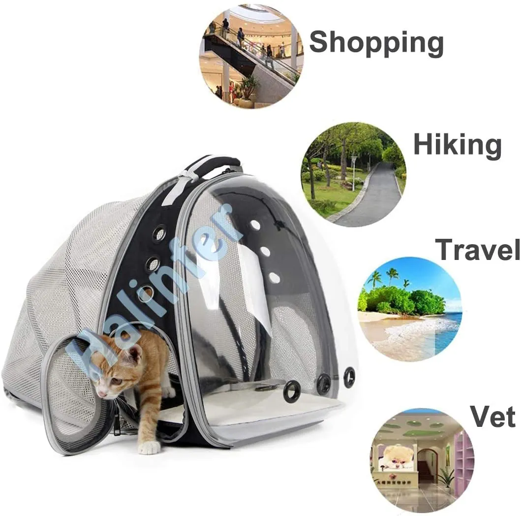Cat Bubble Backpack with Fan