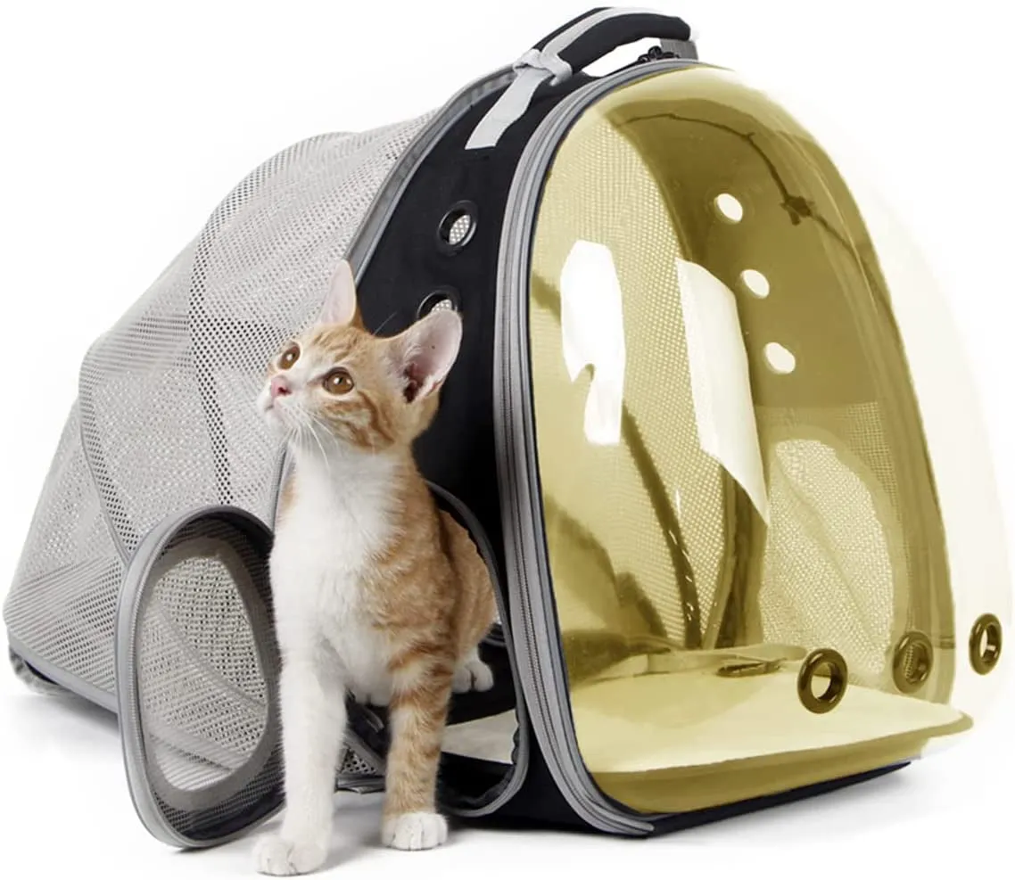 Cat Bubble Backpack with Fan