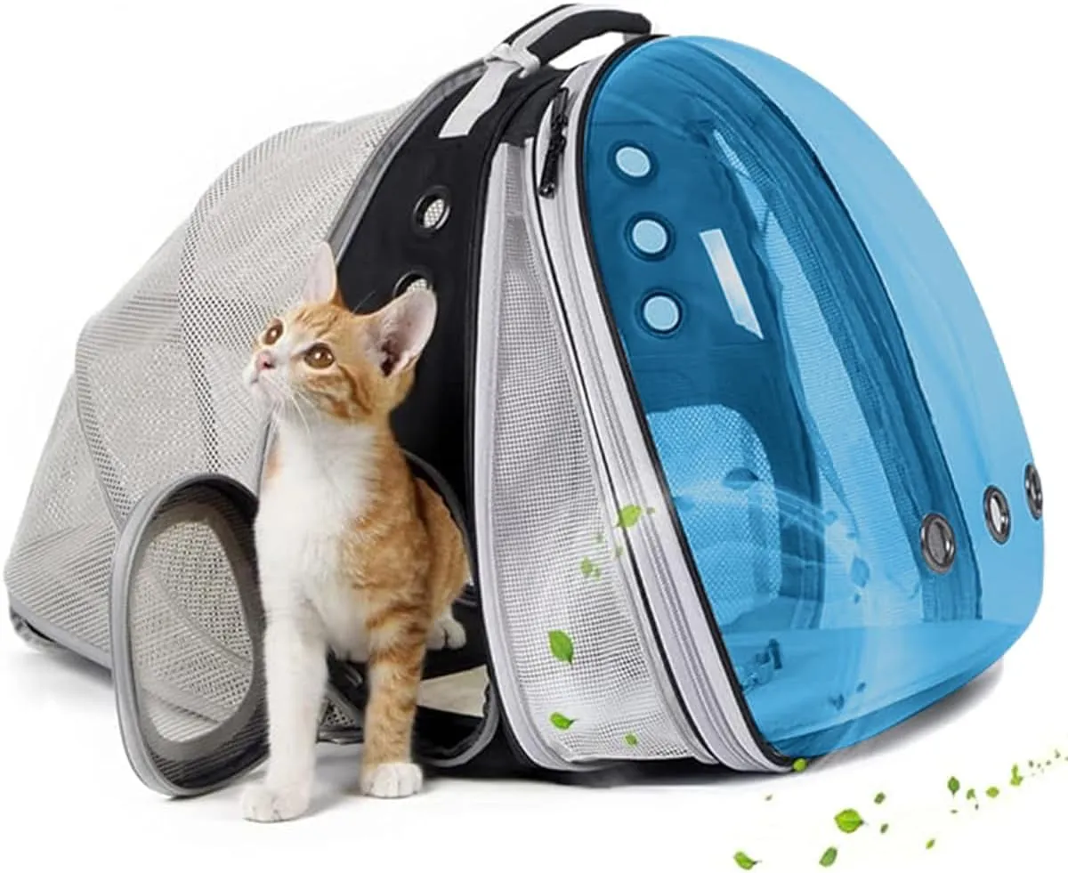 Cat Bubble Backpack with Fan