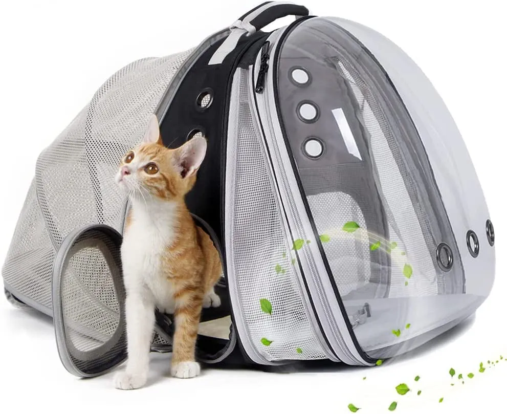 Cat Bubble Backpack with Fan