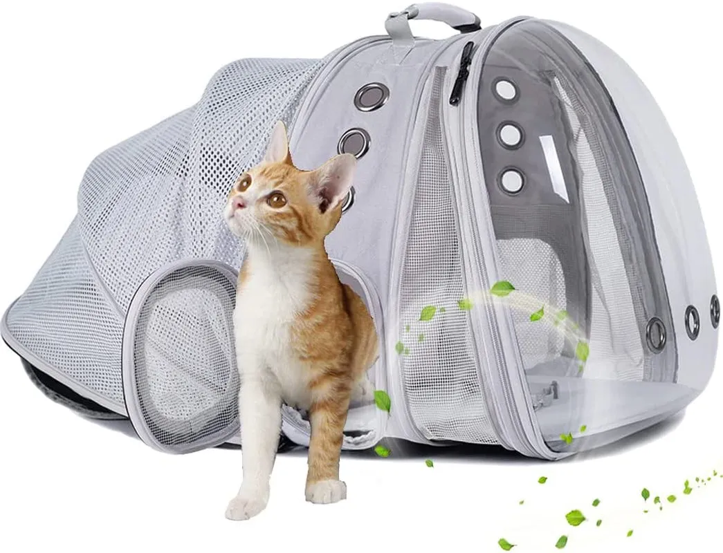 Cat Bubble Backpack with Fan