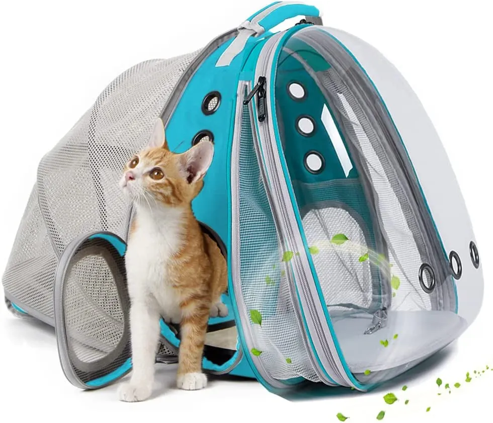 Cat Bubble Backpack with Fan