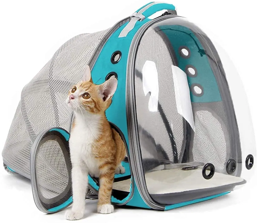 Cat Bubble Backpack with Fan