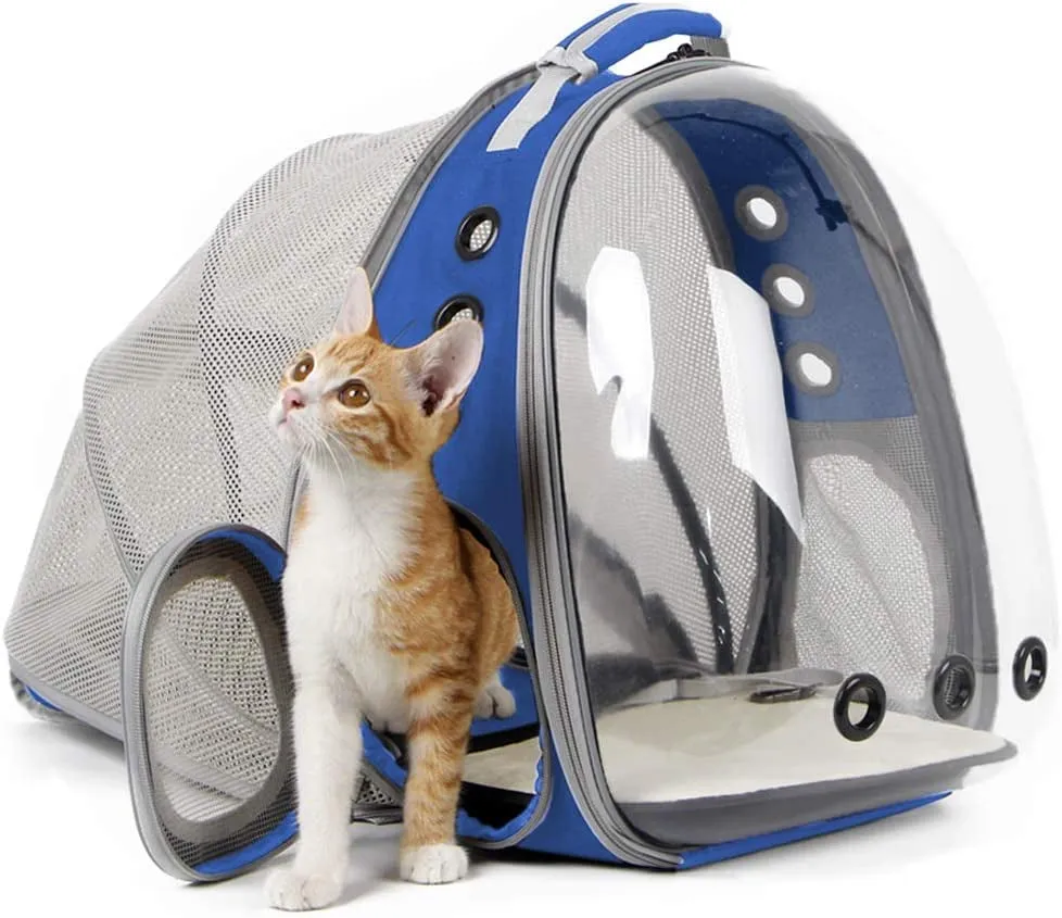 Cat Bubble Backpack with Fan