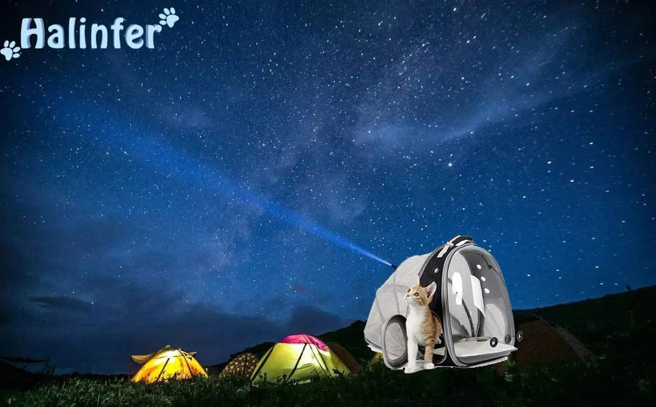 Cat Bubble Backpack with Fan