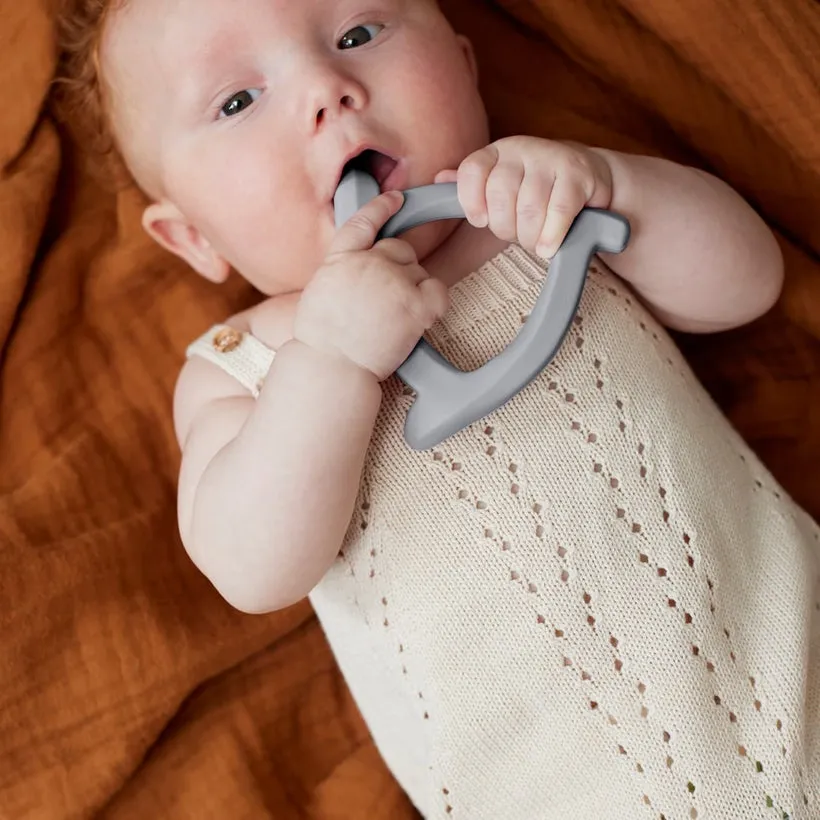 Silicone Teether 2 Pack
