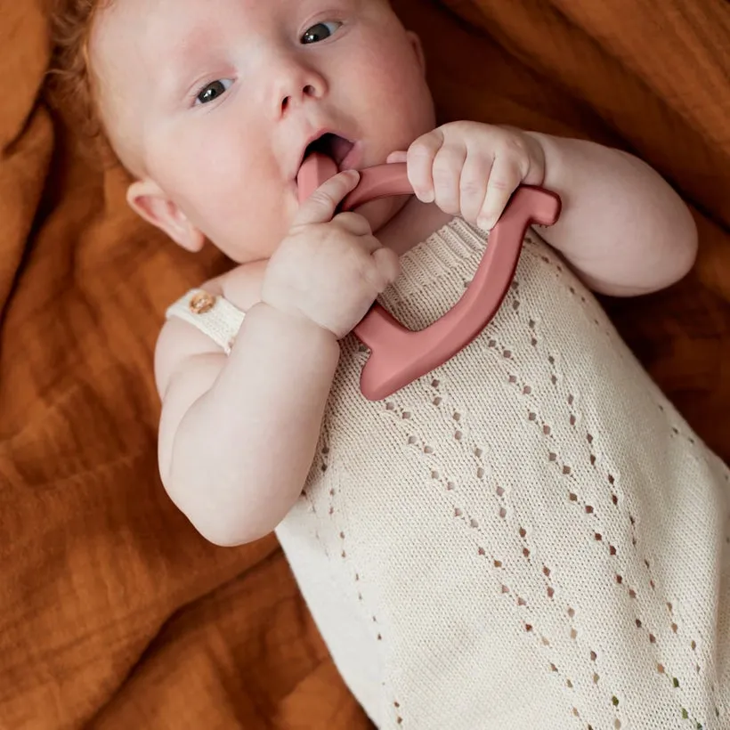 Silicone Teether 2 Pack