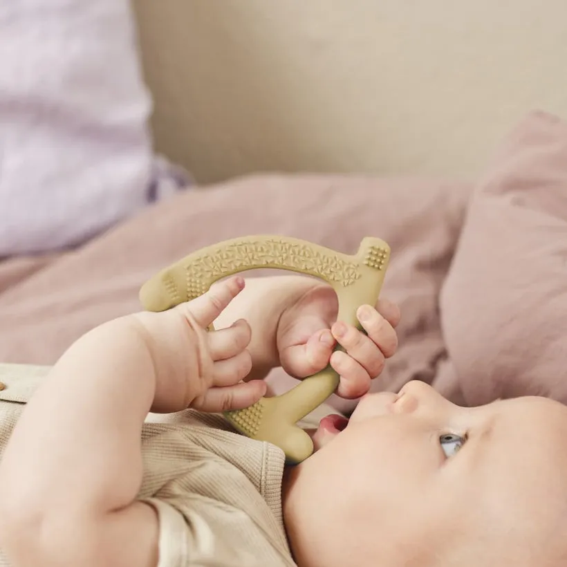 Silicone Teether 2 Pack